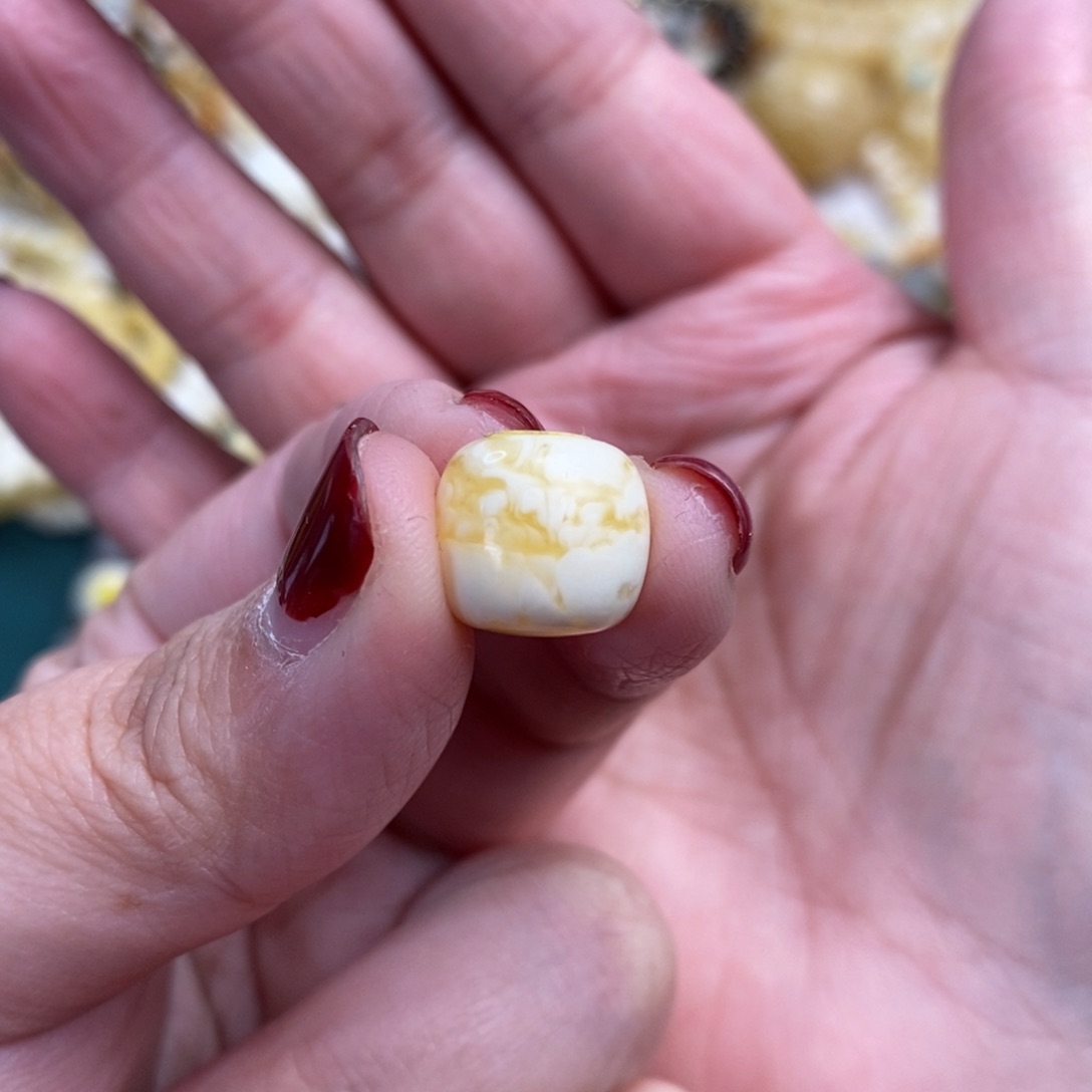 琥珀裸石未镶嵌虎皮纹老型单珠12.3