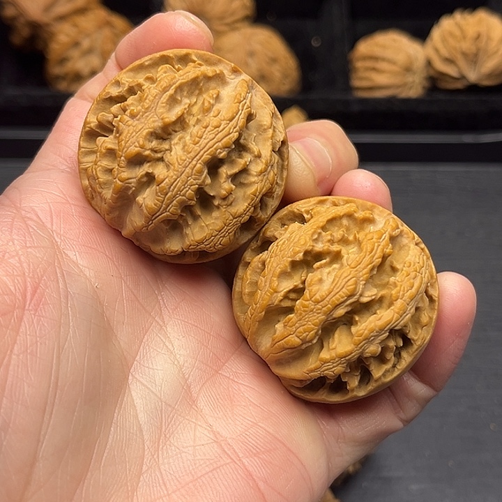 木质类突突突突突突