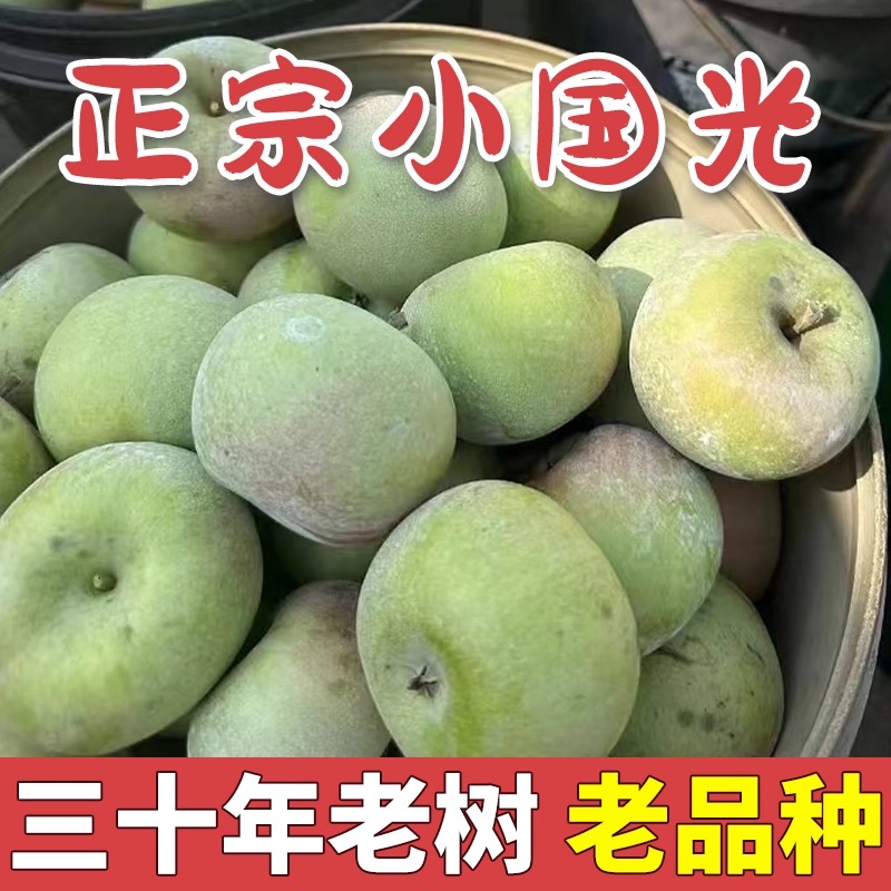 2025年新果辽宁盖县国光苹果特产国光苹果孕妇水果非富士酸甜苹果