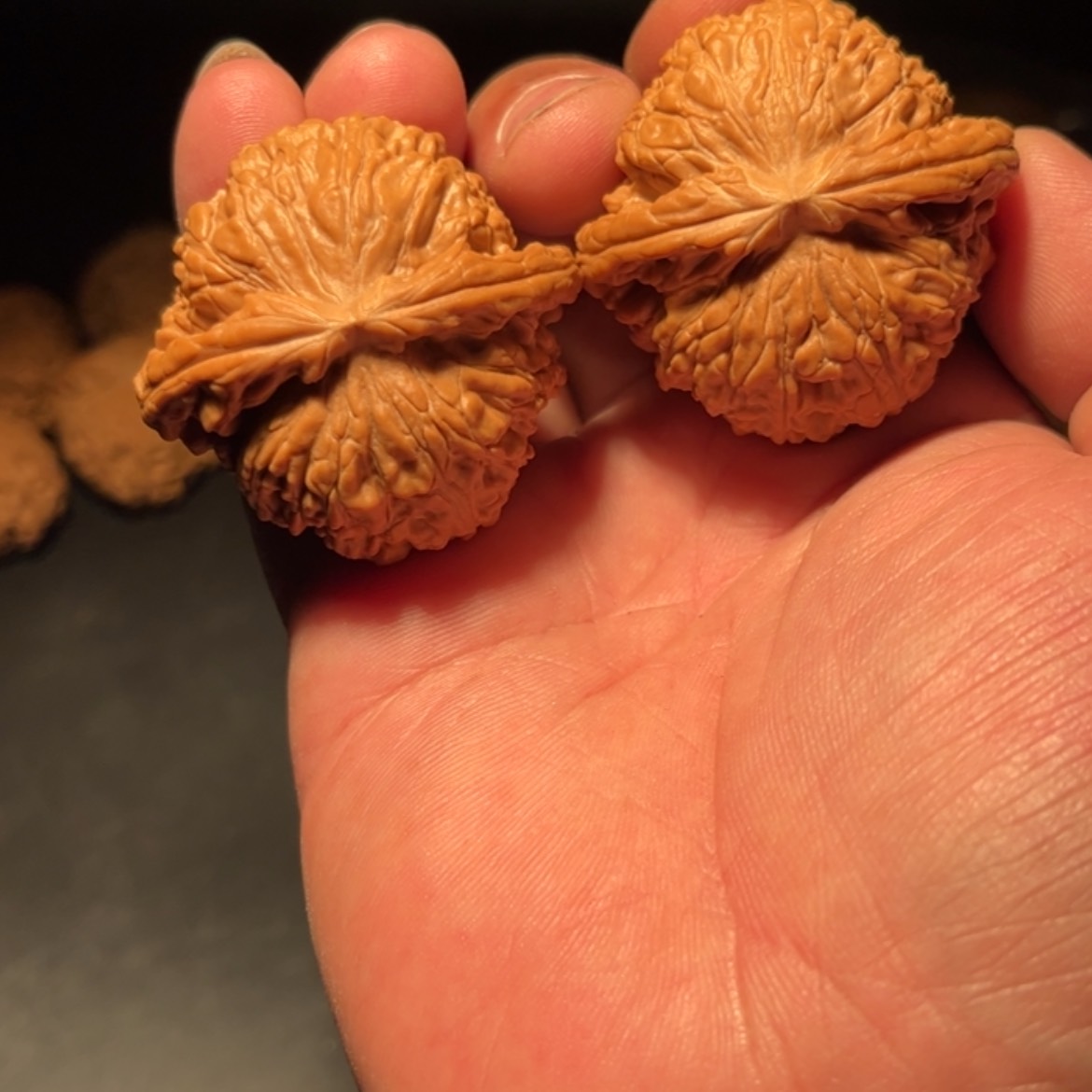 【闪购商品】孟*啊文玩核桃木制手把件