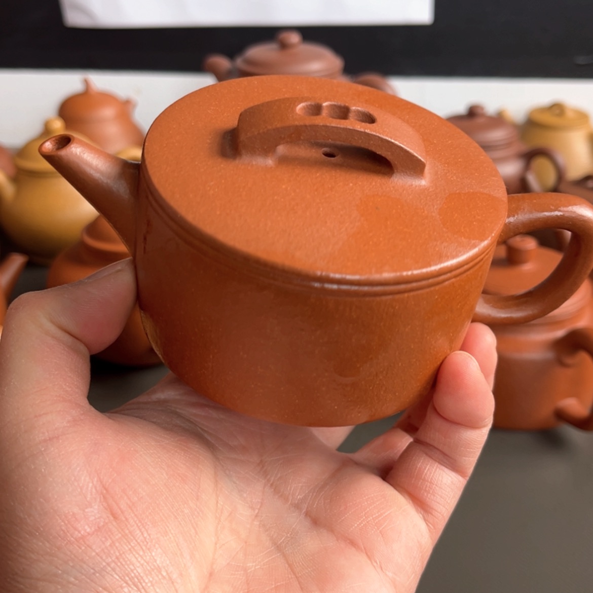 【闪购商品】呼呼呼呼呼呼呼壶壶