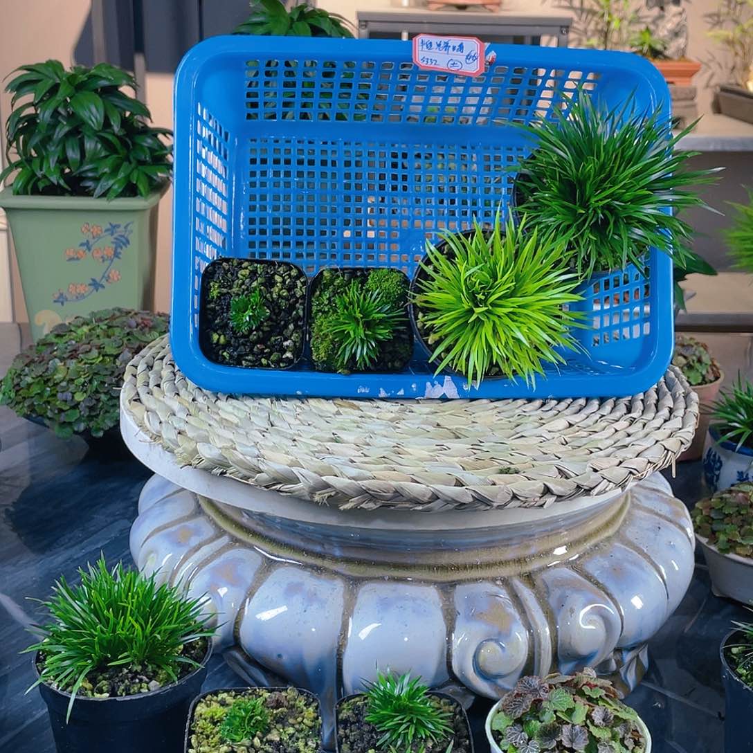 【闪购商品】完全开放