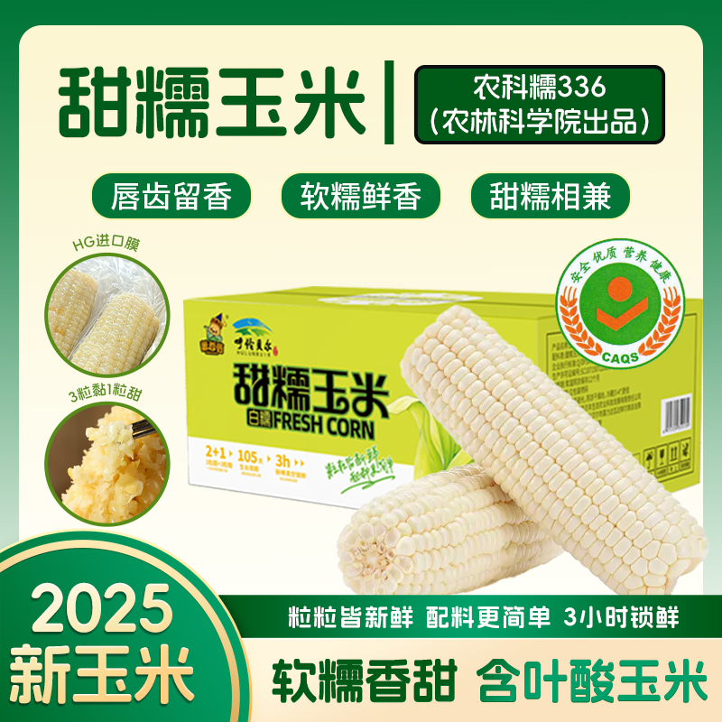农科糯336甜加糯三分甜七分糯真空玉米甜糯东北软粘甜大白糯玉米