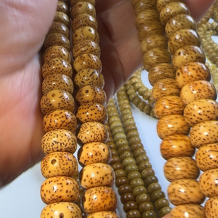 老脱脂星月菩提114