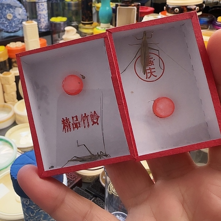 断须柬竹➕紫竹啊啊啊啊啊