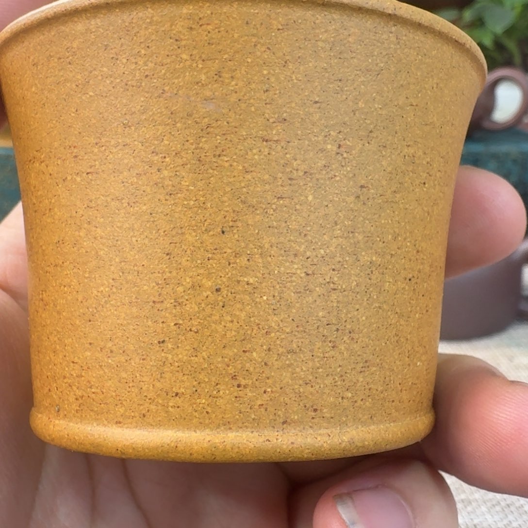 茶壶紫砂33445554455545