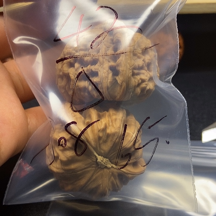 星***享核桃六十五号文玩