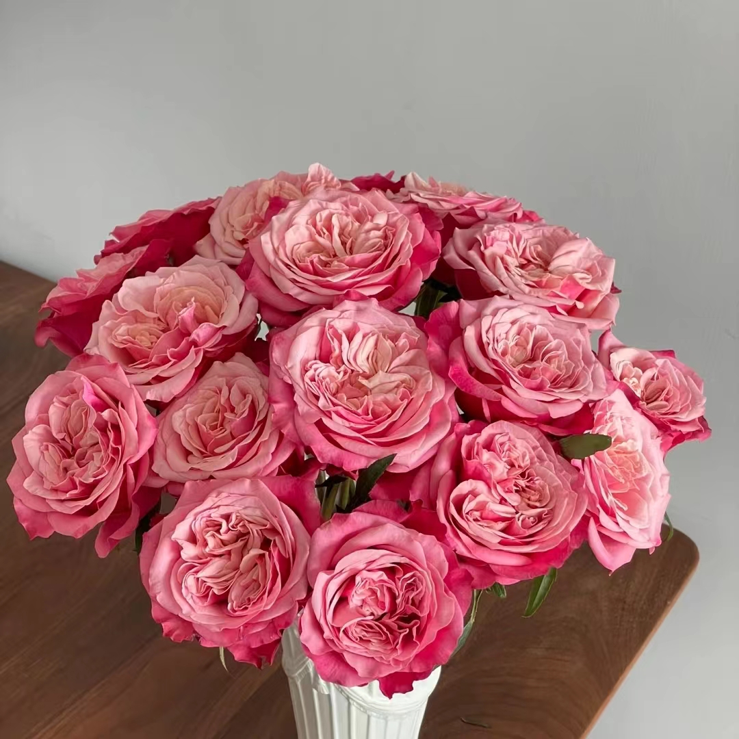 氧花季 闺蜜玫瑰 收到先醒花 拍2单升级快递