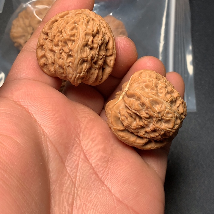 喵****把件文玩核桃34白狮子826