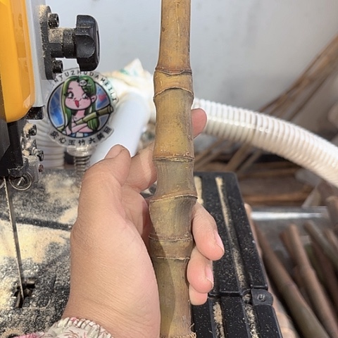 用***2实心竹竹竹竹竹竹竹竹竹竹竹