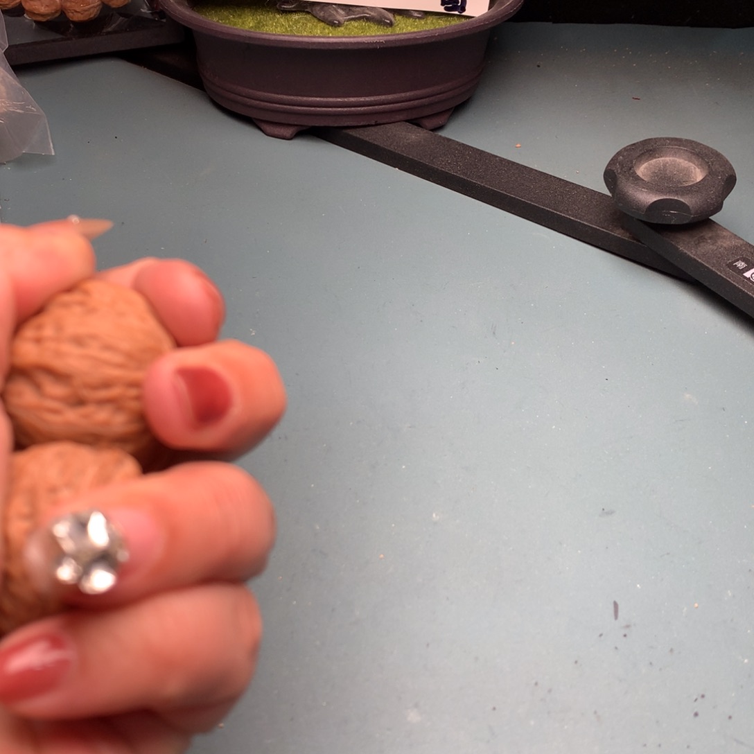 文玩核桃把件全品铁锤3637