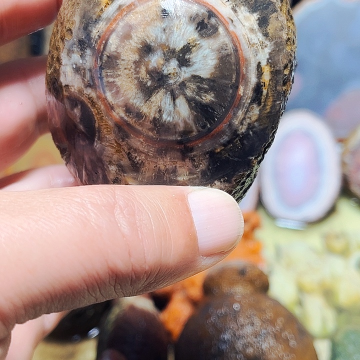 秀***驹玛瑙/玉髓未镶嵌珠宝奇石