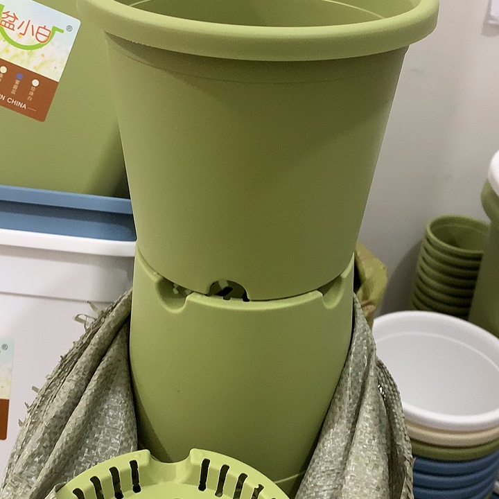 四季口18高15绿5个