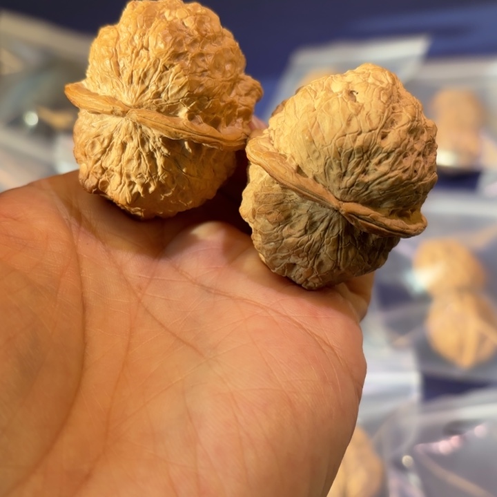 吊坠文玩核桃乾坤金蟾