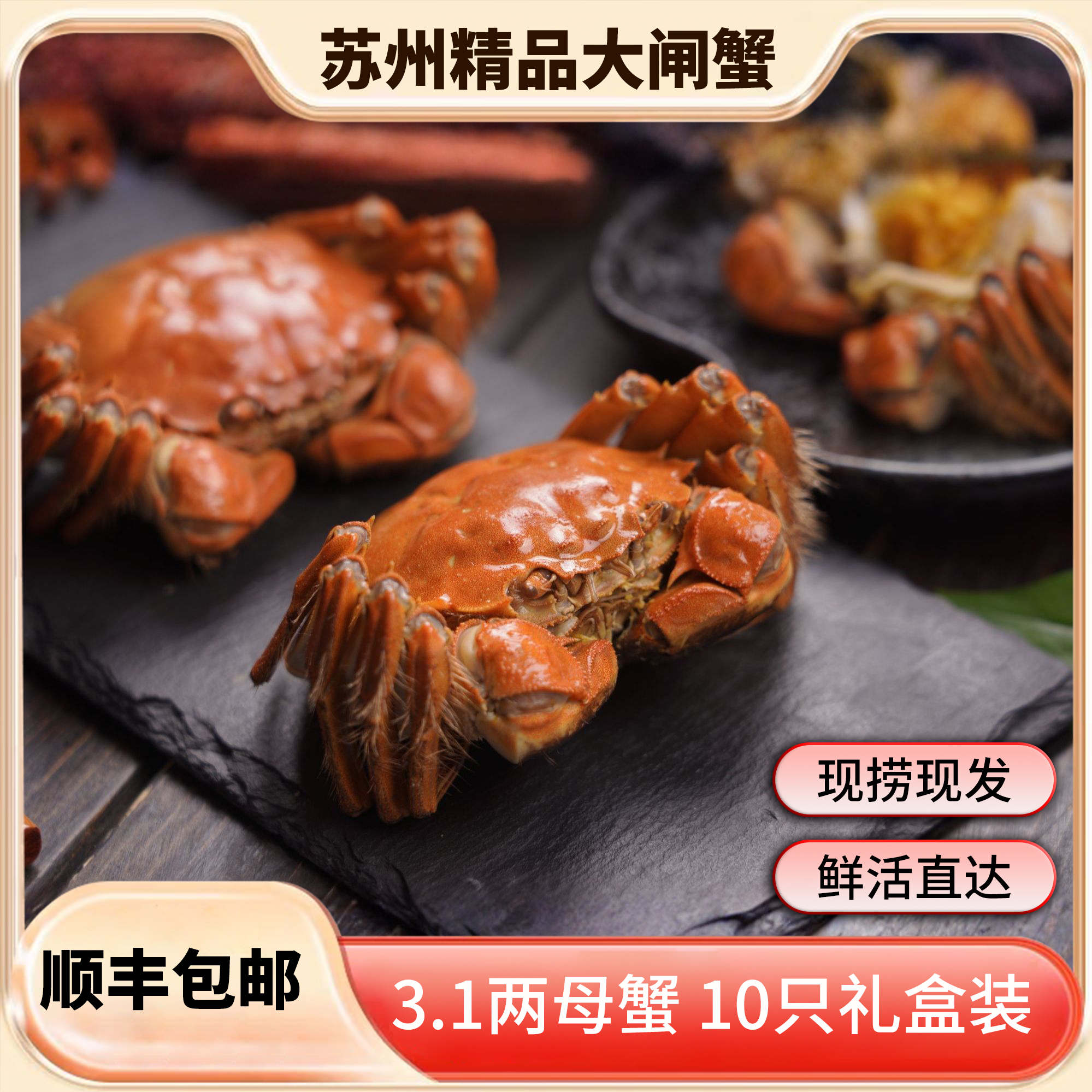 【活蟹】鲜锋阳澄 大闸蟹 3.1两 母蟹 10只