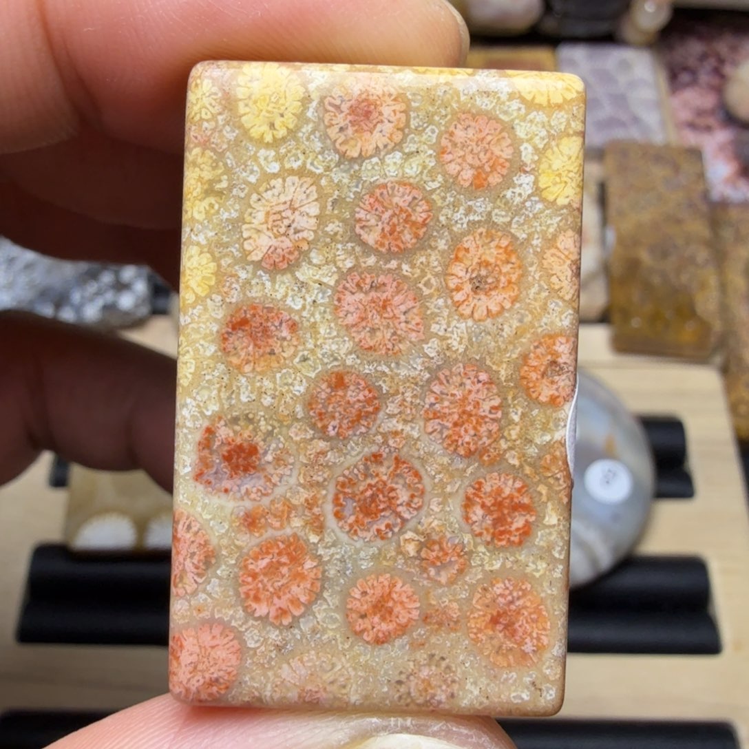 硅化玉未镶嵌纯天然色有机玉石保真色