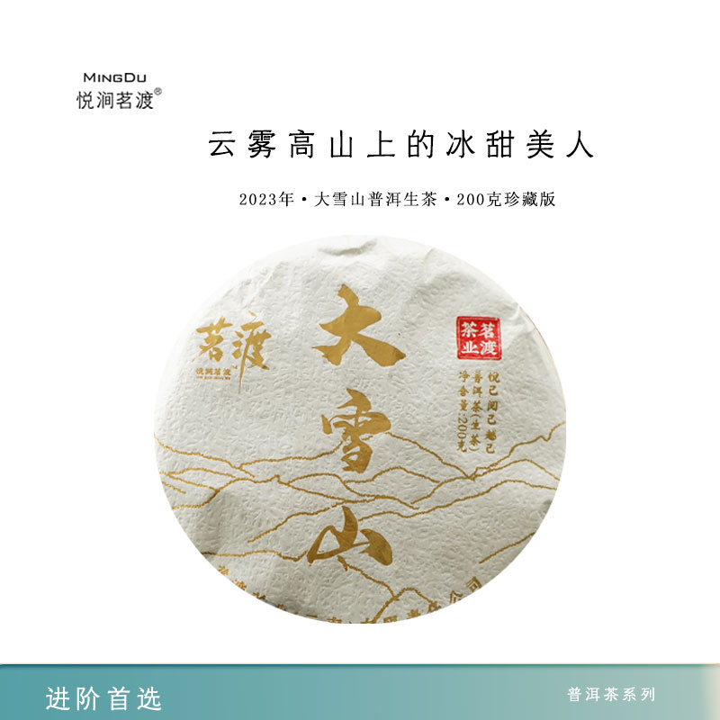 大雪山普洱茶生茶茗渡2023年春茶生普洱云南七子饼自己喝的茶叶