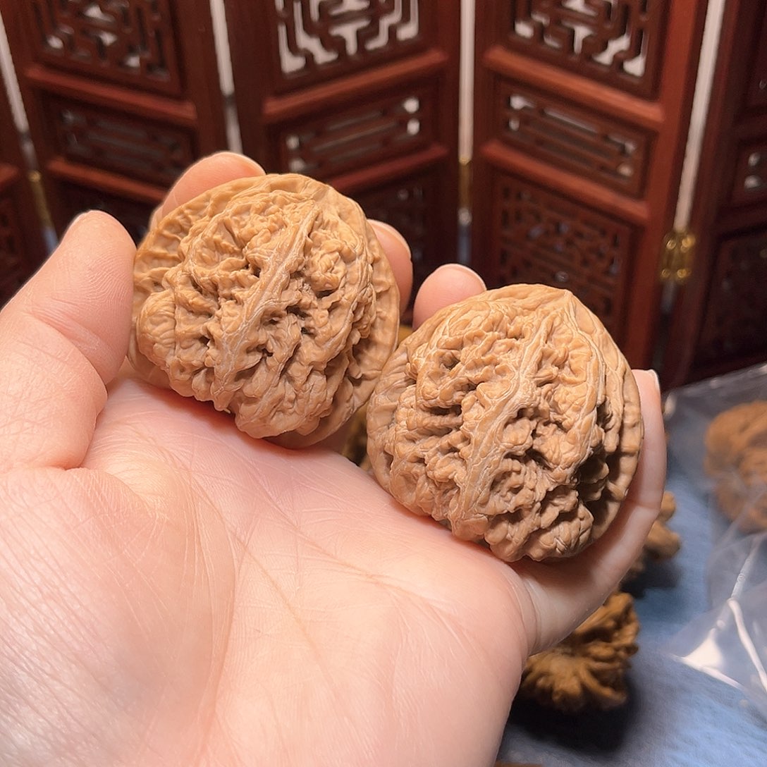 45全品大粗筋……精品