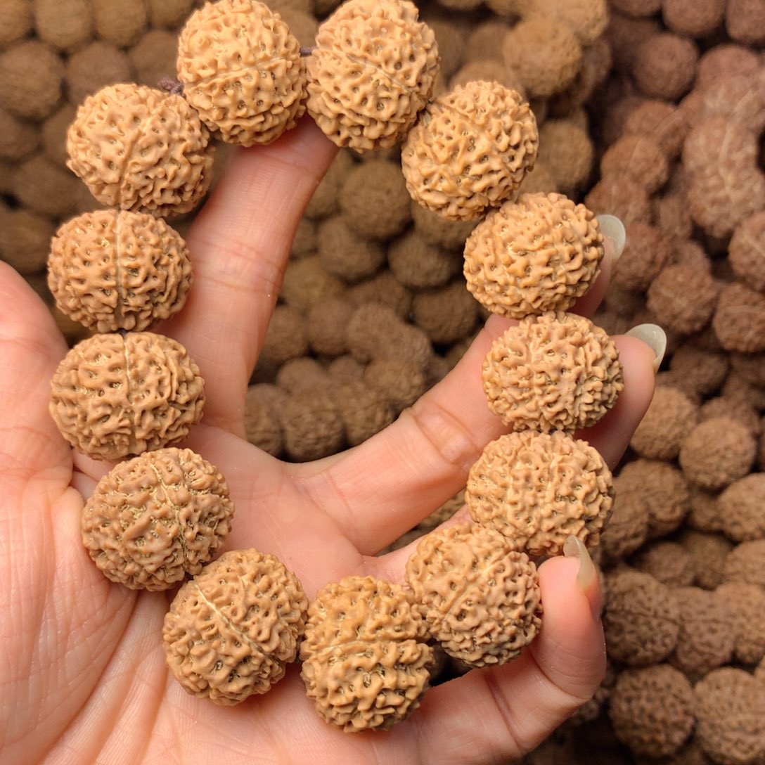 木8瓣金刚卡21尺寸，13号