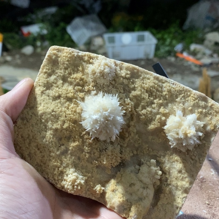 运***坤玛瑙/玉髓合金挂件