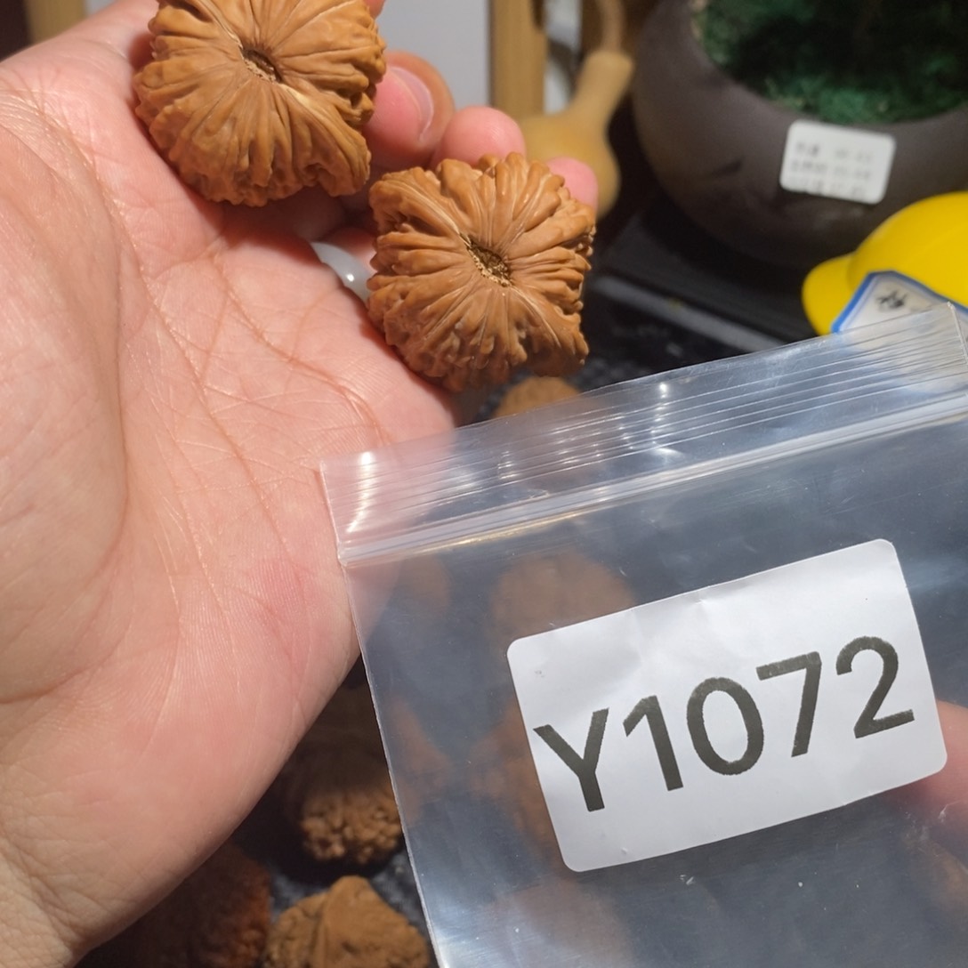 文玩核桃把件不***饿楼子39