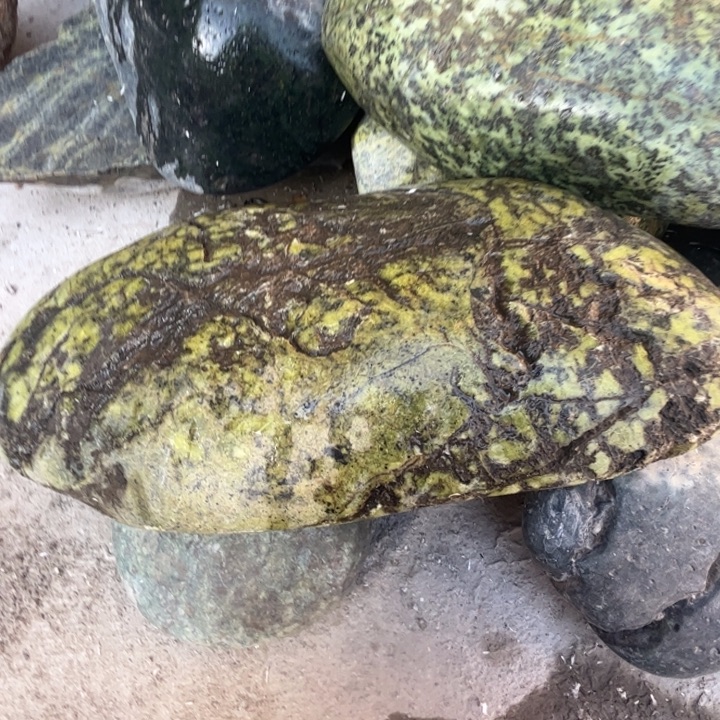 用***6蛇纹石玉未镶嵌原石黄翠原石