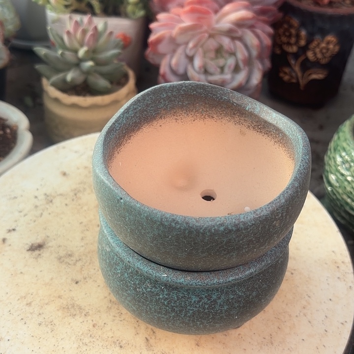 花盆花盆花盆花盆花盆