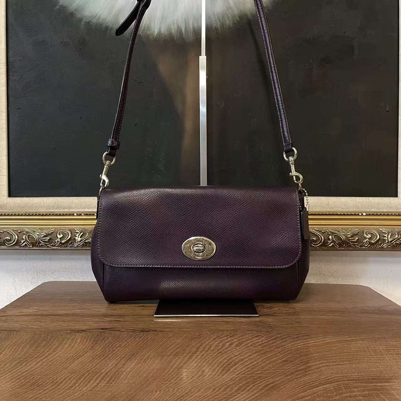 95新 COACH/蔻驰 coach蔻驰单肩包/004550/尺寸24*15