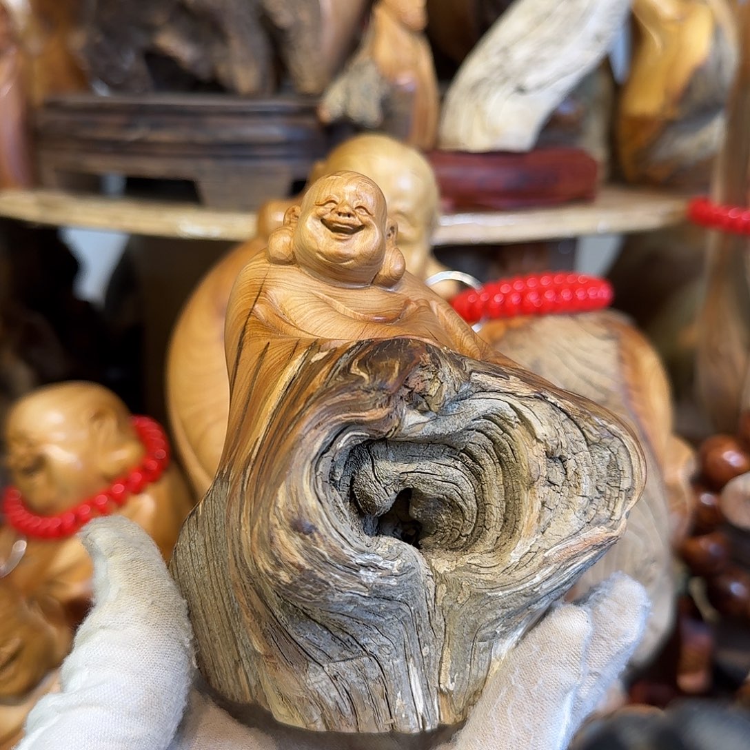 柏木（崖柏）66666666