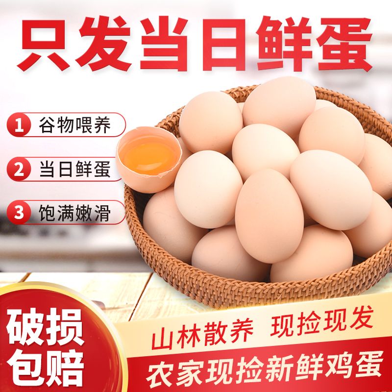 50枚精品山林散养土鸡蛋农家笨鸡蛋单枚45±5克净重2050克新鲜鸡蛋