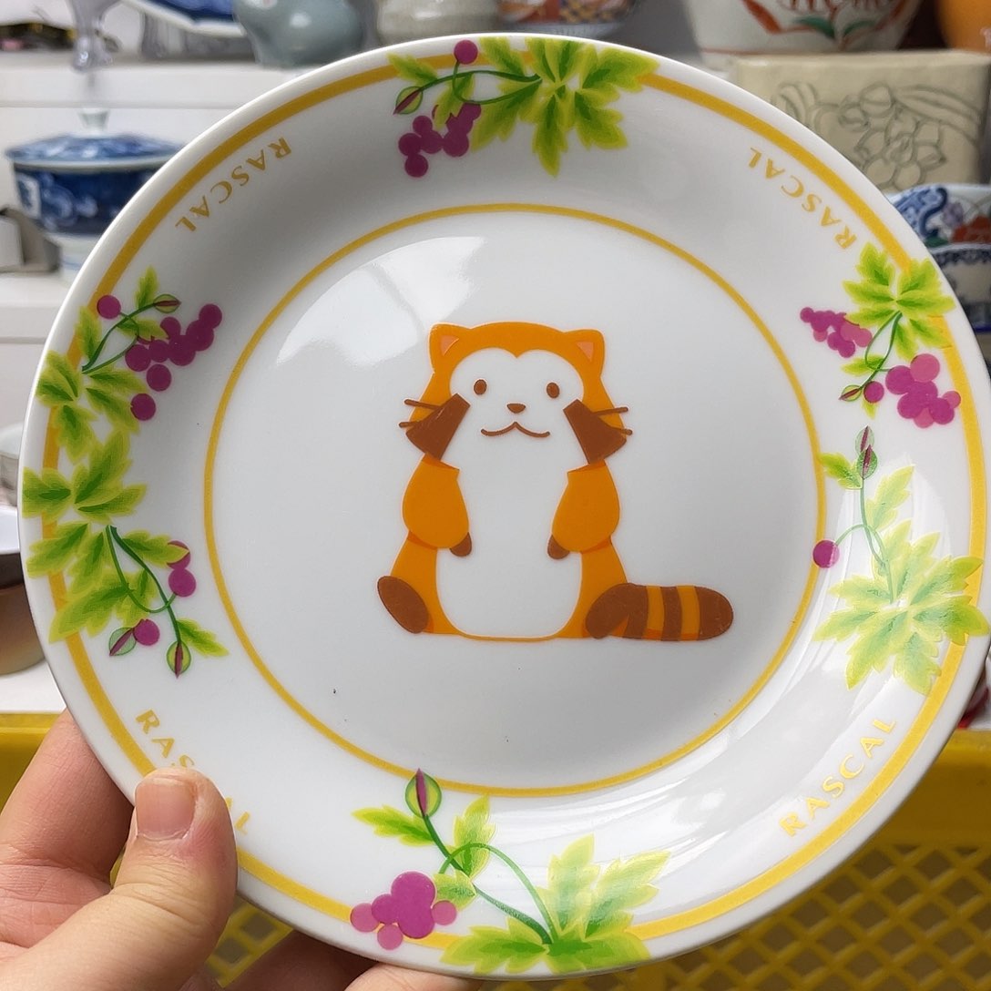 瓷片@*奇哈哈哈我来拉了啊笑拉笑疯哈哈