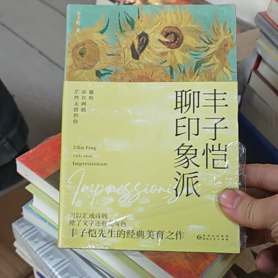丰子恺聊印象派，带塑封全新。