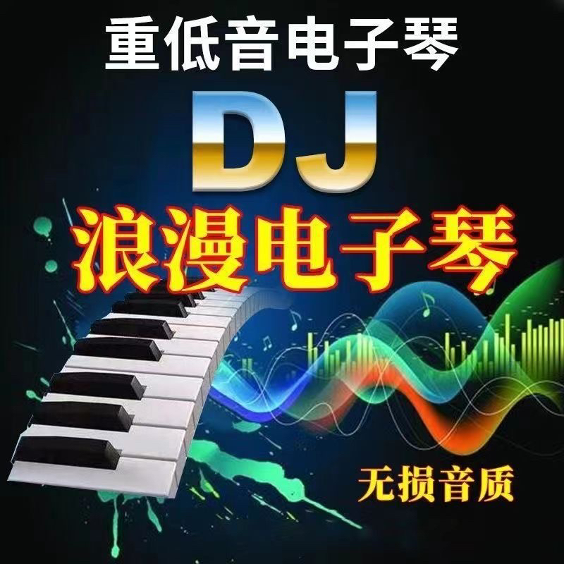 轻纯音乐电子琴DJ流行劲爆重低音旋律节奏无失真高音质车载随身碟