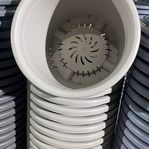 树脂四季9号微瑕灰白无托4个