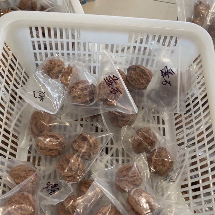 吊坠文玩核桃磐石微瑕