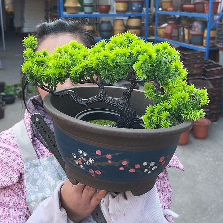 蓝富贵点菜小一个花盆花盆