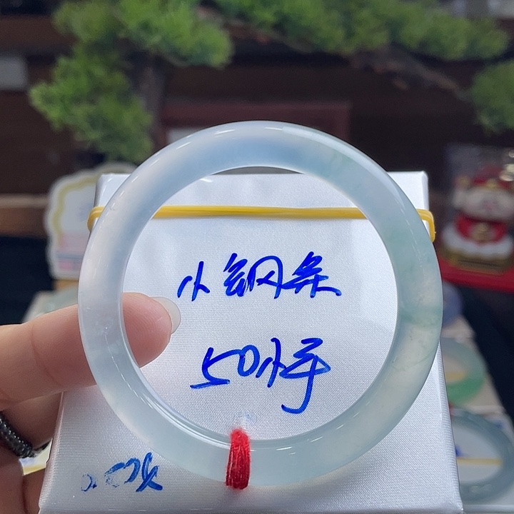 w***i未镶嵌手镯翡翠50+小钢条