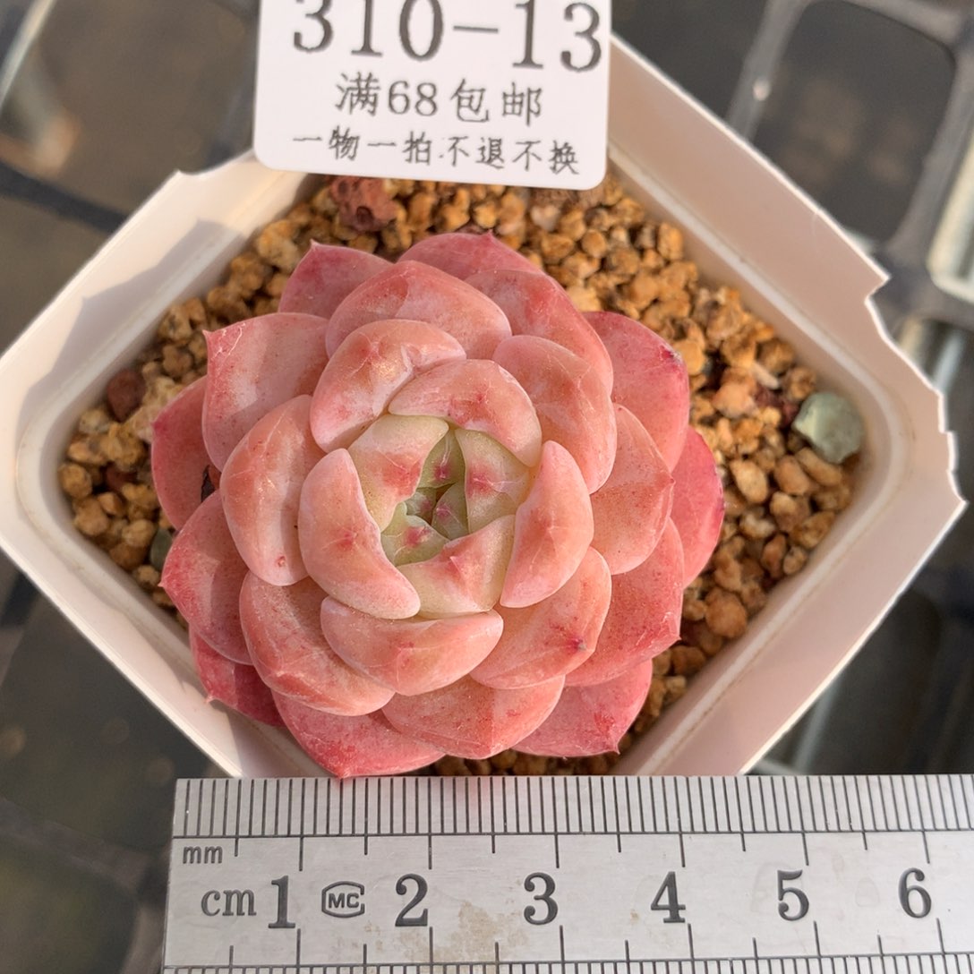 13。冰糖水晶。满六八包邮。