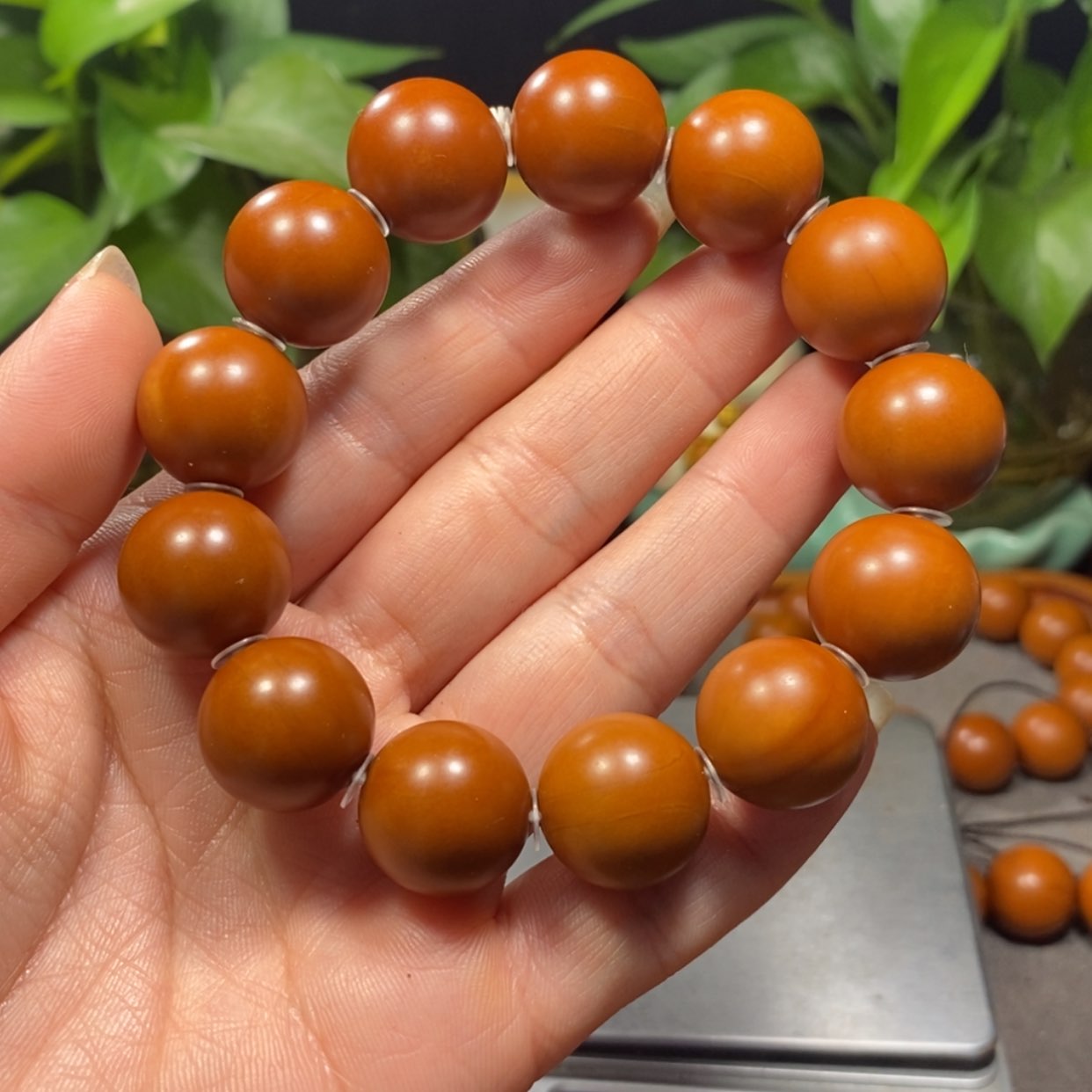 【闪购商品】吊坠橄榄核仙*1.72+广西树王全品福利