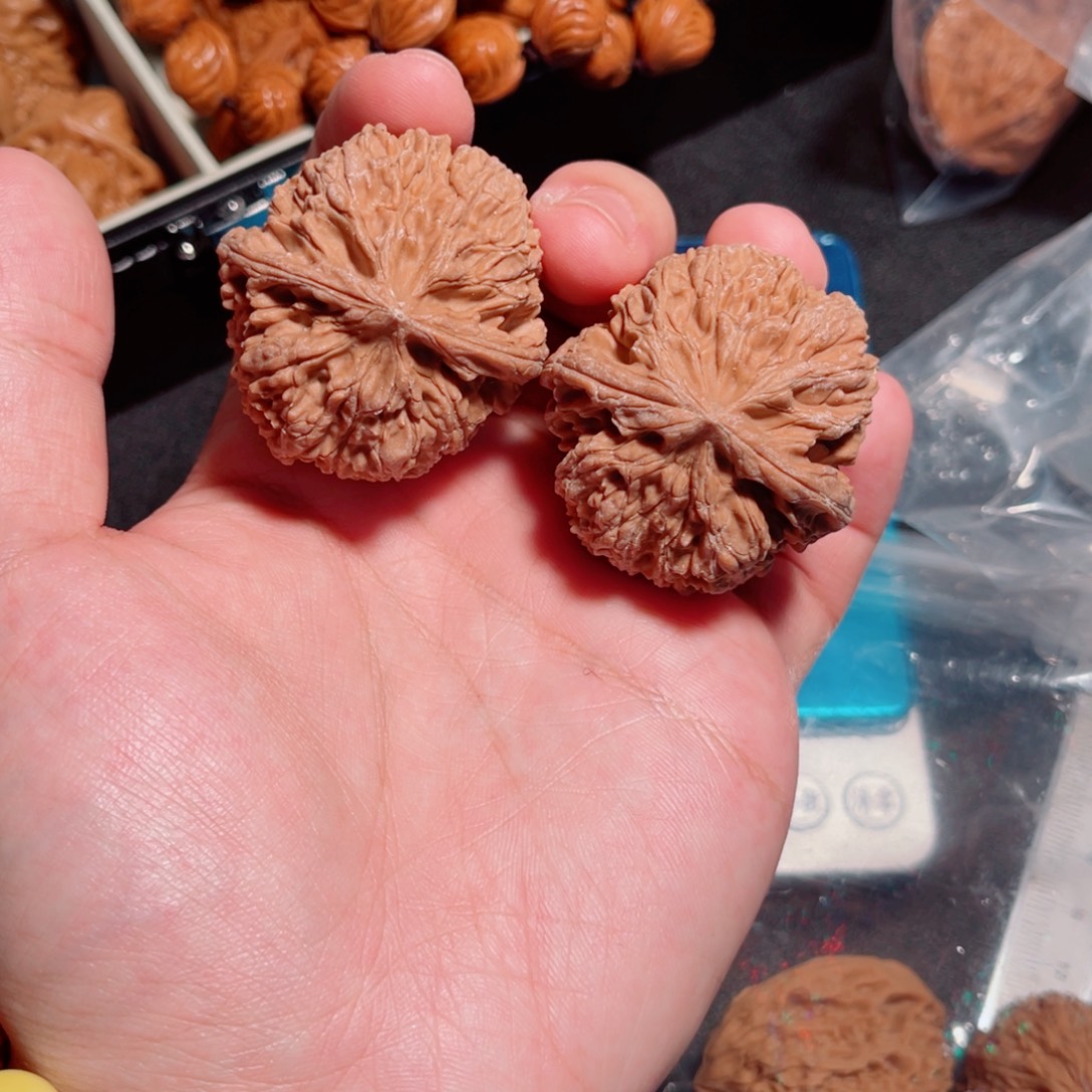 42全品野生山地小众