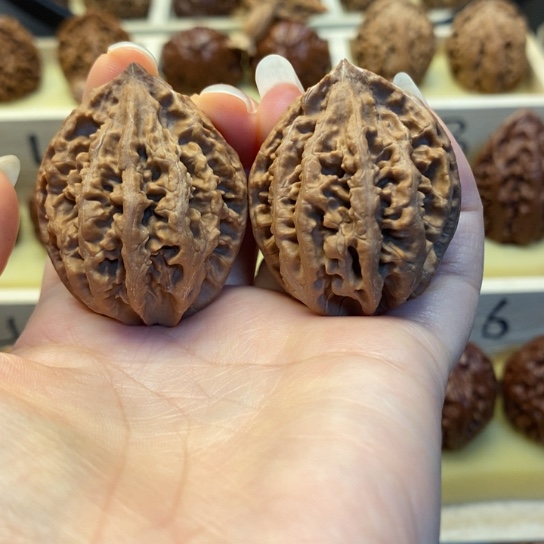 桃核把件东北秋子209