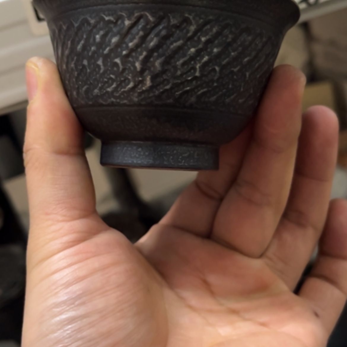 【闪购商品】我65555555555555555