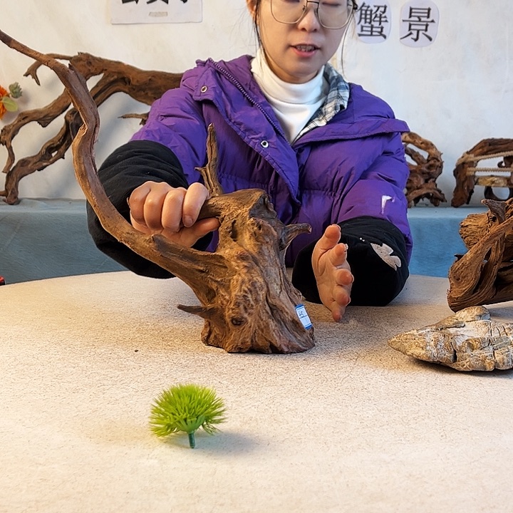 沉木造景新年快乐