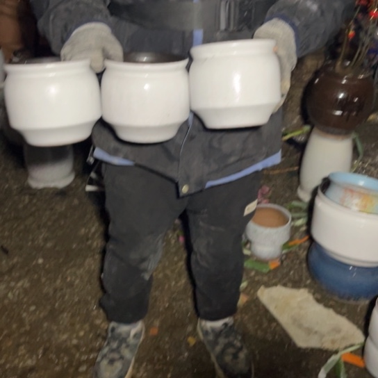 红陶口15高15正品