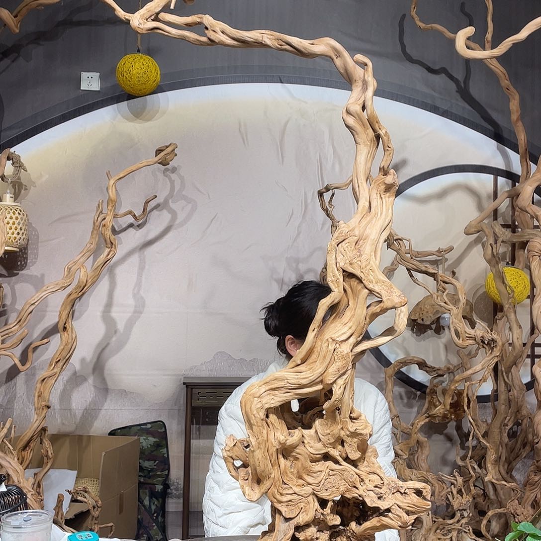 袁****核桃木/黑胡桃（胡桃木）