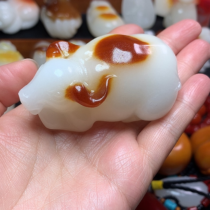 新疆北疆金丝牛牛