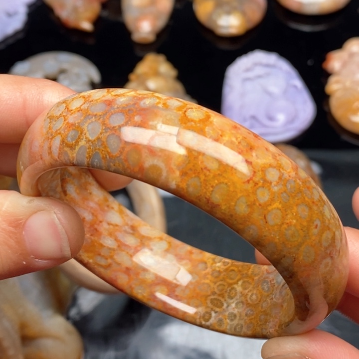 硅化珊瑚（珊瑚玉）手镯钛钢58,3