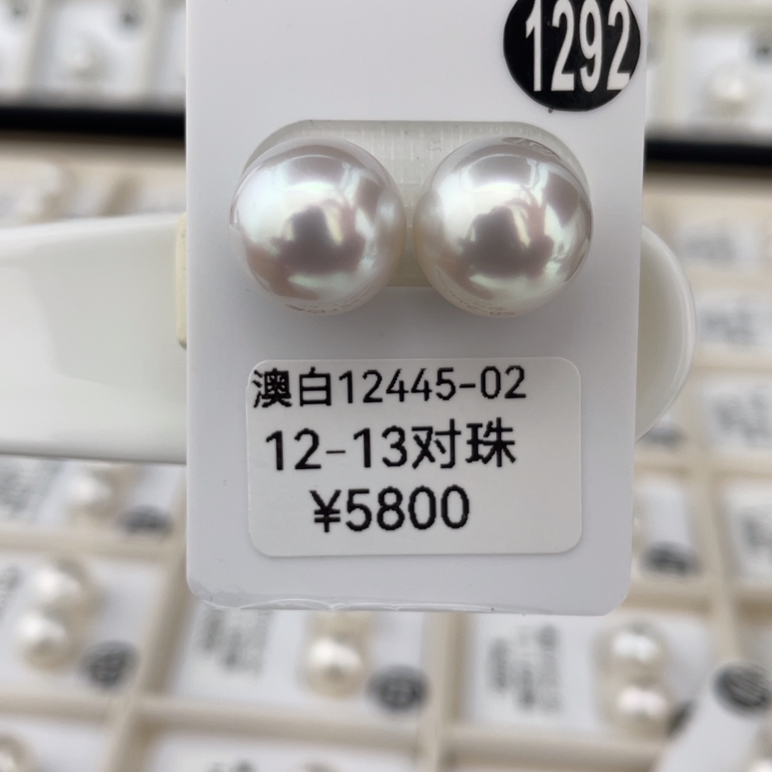 定制海水珍珠未镶嵌耳饰