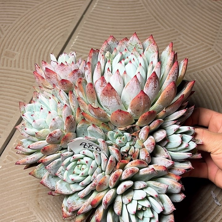 888/////////////////////