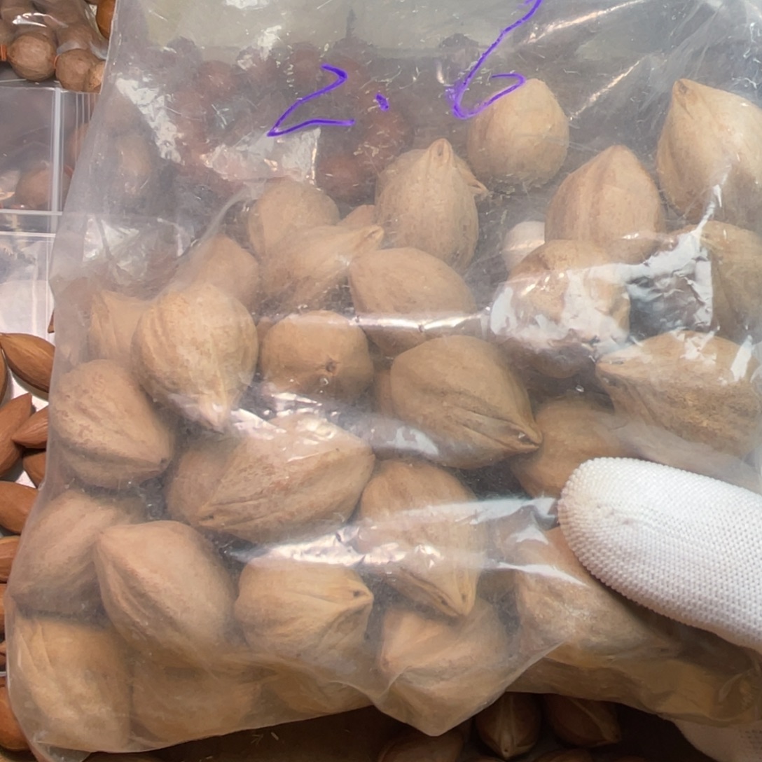 过***～手串/手链橄榄核1